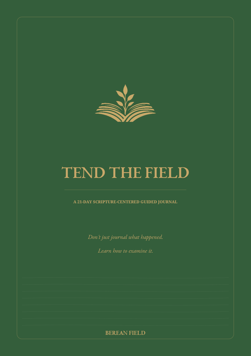 Tend the Field: A 21-Day Scripture-Centered Guided Journal — front cover