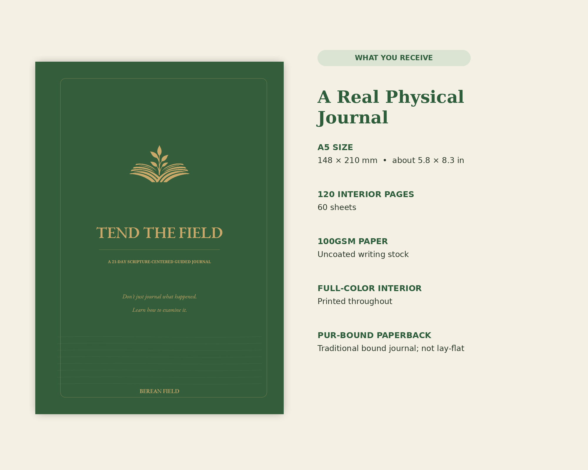 TEND THE FIELD cover beside physical specifications: A5, 120 interior pages, 100gsm paper, full-color interior, and PUR-bound paperback.